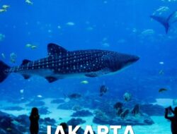 Jakarta Aquarium: Destinasi Wisata Laut di Tengah Kota