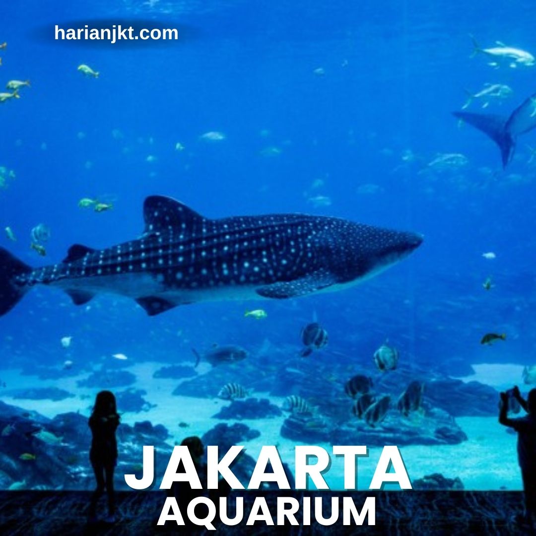 Jakarta Aquarium