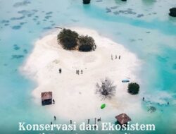 Kepulauan Seribu: Pentingnya Konservasi dan Ekosistem