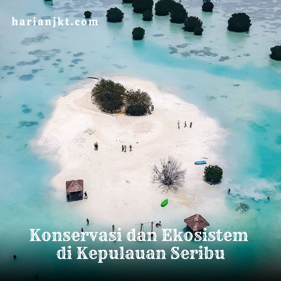 Konservasi di Kepulauan Seribu