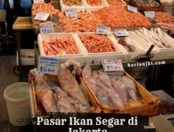 Rekomendasi 7 Pasar Ikan Segar di Jakarta